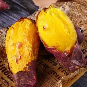 [더테이블] 비세척 영암 꿀고구마 5kg