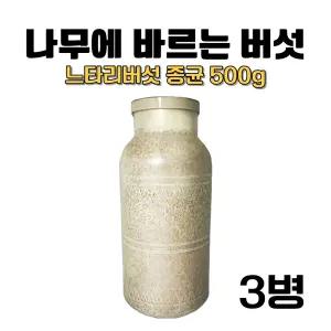 느타리 버섯종균 칡재배 유치원 어린이집 실험 백화고 최고급 버섯종균 3병