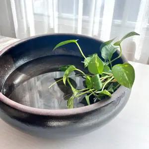 국산 옹기수반 항아리 질그릇 구피 어항 가습기 오목자배기