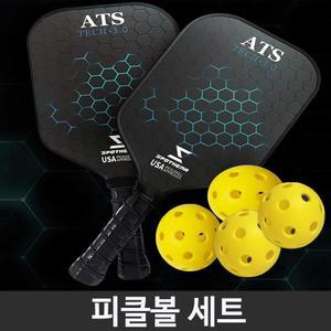 피클볼 라켓2 공4 세트 가방포함 사이즈 입문용 방과후 스포츠 수업