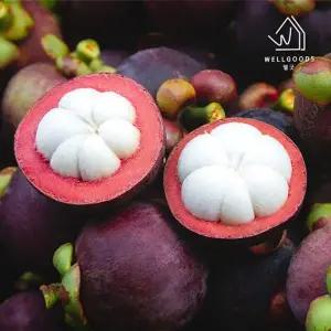 [웰굿] 항공직송 태국 생 망고스틴 2kg(20-28과)