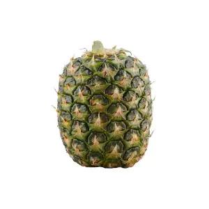 필리핀산 실속 파인애플 1통