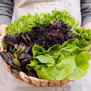 무농약/GAP인증 모듬 쌈채소 유러피안 샐러드