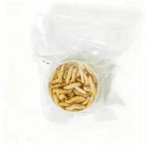 왁스웜월드 프리미엄 동결건조 왁스웜 꿀벌부채명나방 계곡낚시용 떡밥 특효 천연미끼 계류 민물낚시 필수템 (포장 리뉴얼ver.), 10g