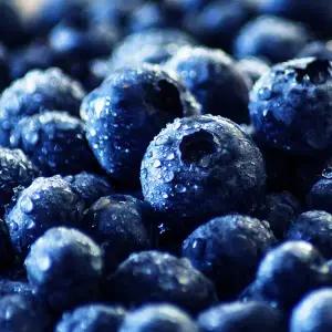 냉동 블루베리 세척과일 1kg 3팩