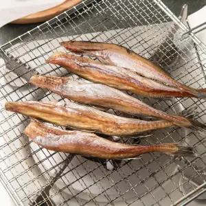 [대한민국농수산] 촉촉하고 쫄깃한 손질 반건조 노가리 200g/500g