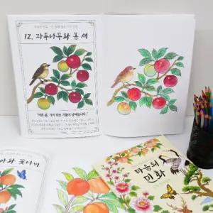 힐링 컬러링북 민화 자연 색칠공부 시니어 어르신 드로잉북 취미 요양원 어린이집