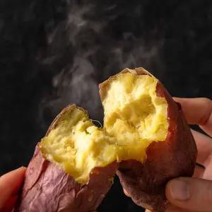 해남 고구마 호박 꿀고구마 밤 베니하루카 10kg