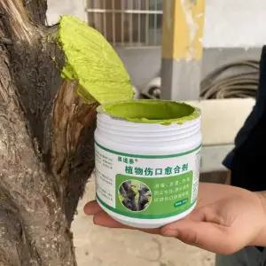 수목상처보호제 나무 도포제 식물연고 나무유합제
