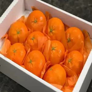 당일수확 제주 고당도 제철 레드향 가정용 선물세트 4.5kg 2.5kg