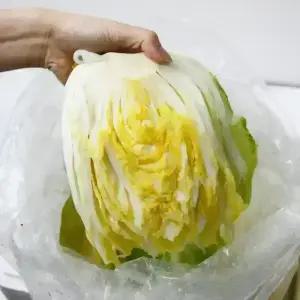강원도 평창 충북 괴산 프리미엄 절임배추 20kg 김장배추