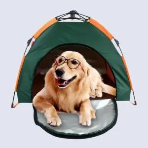 방풍반려동물하우스 반자동 야외 휴대용 고양이 이동식하우스 (WFJ5LRG)