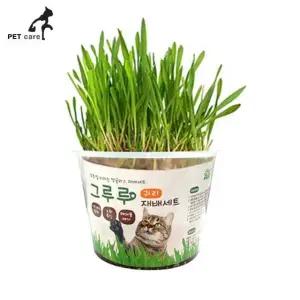 고품질 귀리 타임 재배세트 그루루 (WFJQJGX)