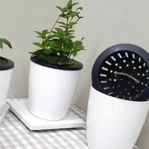 실내 식물 원형 저면관수 화분 중형 아파트 인테리어 (WFK6B4C)