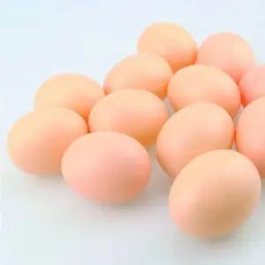 인공계란 플라스틱 모형 장난감 부활절 계란 플라스틱 인공계란 모형계란