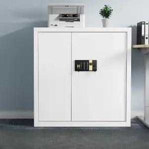 DAMON 도난방지 보안 강철 캐비닛 비밀번호 잠금 이중 자물쇠 철제 보관함 1.4mm