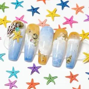 쿨썸머 미니불가사리 불가사리 바다포인트파츠 미 (WFK9CWE)