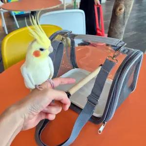 휴대용 투명 앵무새 조류 케이지 이동장 크로스백산책가방 새용품 외출 둥지 외출용 숄더백 편리한 아크릴