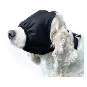 강아지 안대 멀미방지 순면 벚꽃 봄여름 요크셔시 애견봄옷