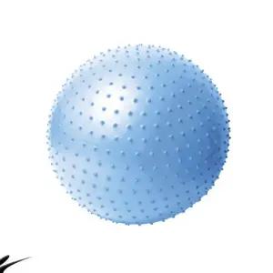 L01 PVC 마사지 짐볼 65cm 알라스칸블루 테스 헬스 운