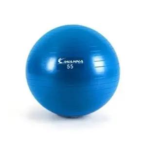 L37 스트레칭 블루 짐볼 55cm 홈트 PVC 운동 홈트 짐