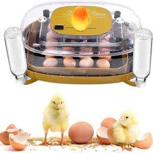자동 터너 온도계 시트 및 습도 조절 기능이 있는 Yaobuld 24 계란 인큐베이터 - 부화용 닭에게 적합하며