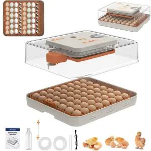 자동 회전 온도 및 습도 조절 기능이 있는 부화 알 부화용 하우우아 56 인큐베이터 내장 캔들러 대용량 닭