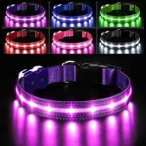 PcEoTllar 조명 개 목걸이 LED 충전식 야간 산책 방수 야광 대형 소형견용 보라색 l