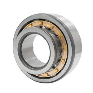 NJ405 406 407 408 409 410 411 412 413 414 415EM 원통형 롤러 베어링