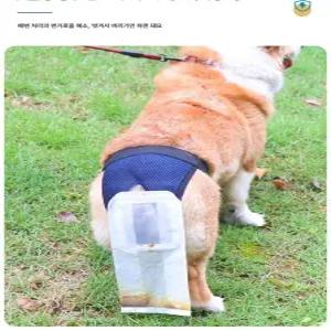 외출 산책 강아지 똥주머니 봉투 배설물 대변 수거 팬티