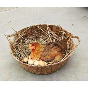 닭산란장 철망 산란통 조립식 닭장철망 산란계케 비닐하우스 토끼 닭장케 야외