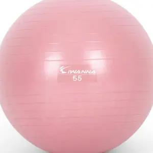 L42 55cm 운동짐볼 짐볼 와일드 핑크 마사지볼 짐볼