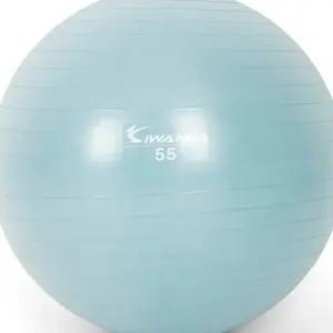 L28 55cm 짐볼 운동짐볼 더스티 블루 마사지볼 짐볼