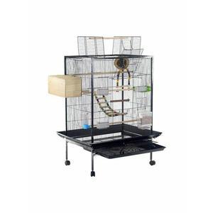 A421 앵무새 키우기 연철 놀이터 블랙가능 대형 카이큐 흰색 넥스트비엔엘 블랙