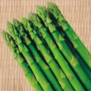 메리워싱톤야채씨앗 채소종자 메리워싱톤 50립 (WFKBY6F)