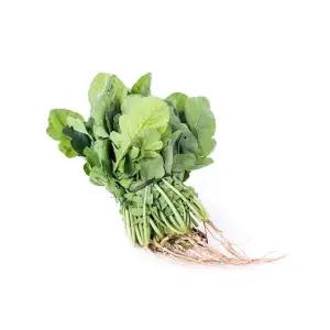 신일산 열무씨앗 신일산열무채소씨 500g열무종자 식물용종자 (WFKBYSZ)