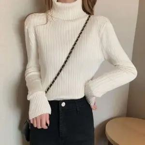 골지티 여성니트 겨울 여성 두툼 목폴라티 가을티셔츠 데일리 니트스웨터