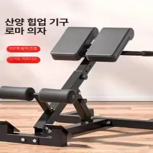 복근 운동 로만 허리 근육 백익스텐션 코어 옆구리 체어