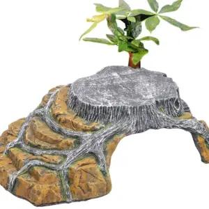 소라게 돌 은신처 대형 동굴 일광욕 거북이 쉼터