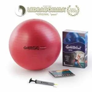 (이태리레드라곰마짐네스틱)짐볼프리미엄 맥스카페 42