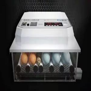 계란 병아리 부화기 자동 달걀 조류 인큐베이터 유정란