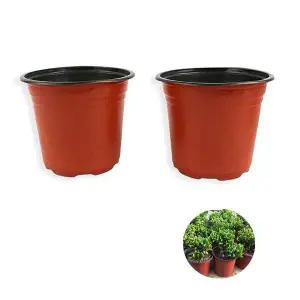 원형 모종화분 대형