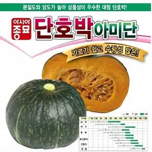 아미단 단호박씨앗 40립 호박 파종 씨앗 재배 작물 텃밭 유기농 수확 농사 채소 성장