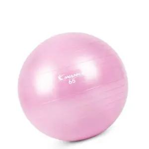 L80 짐볼 락 퍼플 65cm 헬스 운동 균형 요가 홈트 균