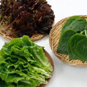 싱싱한 모듬 쌈채소 야채 3종 깻잎 청상추 적상추 당일수확 500g 국내산