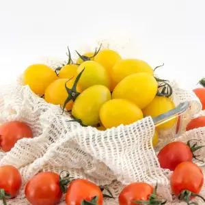 [오늘의 토마토] 고당도 스테비아 대추/레몬향/망고향 방울토마토 1kg(500g x 2팩) / 2kg(500g x 4팩)