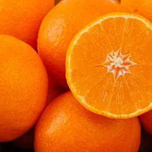 레드향 제주 과일 10~12과 3kg 중과 프리미엄 고당도 가정용 선물용