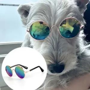 불편함방지 미러 반려견안경 강아지 고양이 선글라스 레인보우 스키장선글라스