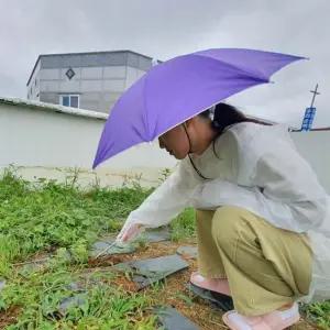머리에쓰는우산 머리에 쓰는 우산모자 소형 퍼플