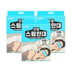 동국제약 굿잠 스팀안대(10입) 3박스 (총30입) / 수면 온열안대 눈찜질안대 발열 일회용 아이마스크